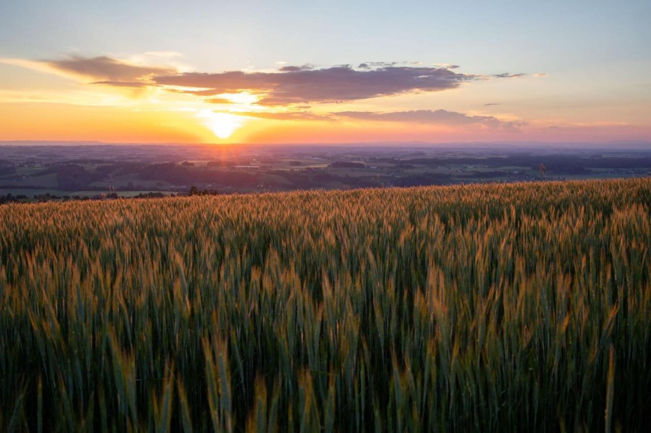 Aschach an der Steyr Hochhubergut 빌라 외부 사진
