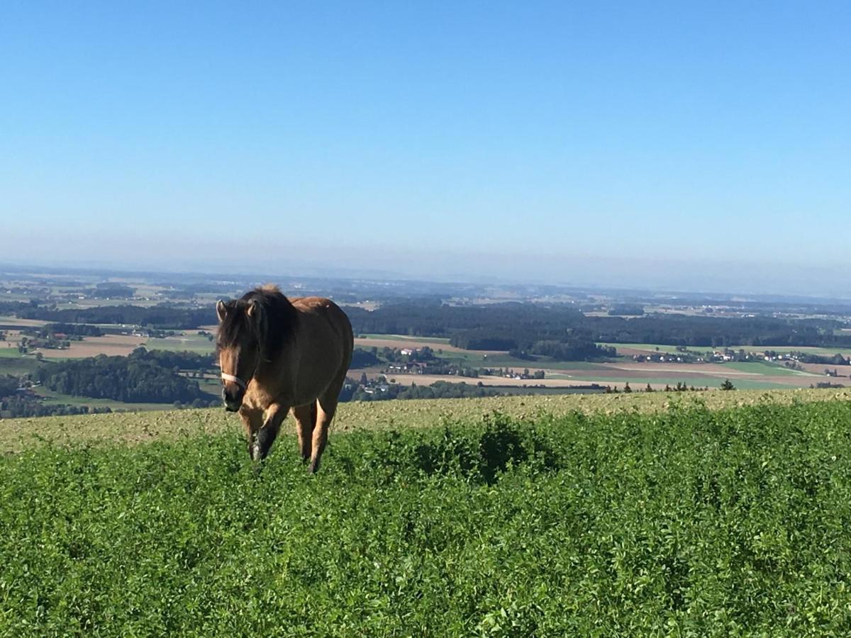 Aschach an der Steyr Hochhubergut 빌라 외부 사진
