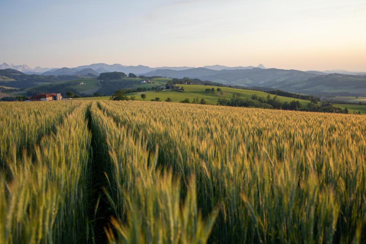 Aschach an der Steyr Hochhubergut 빌라 외부 사진